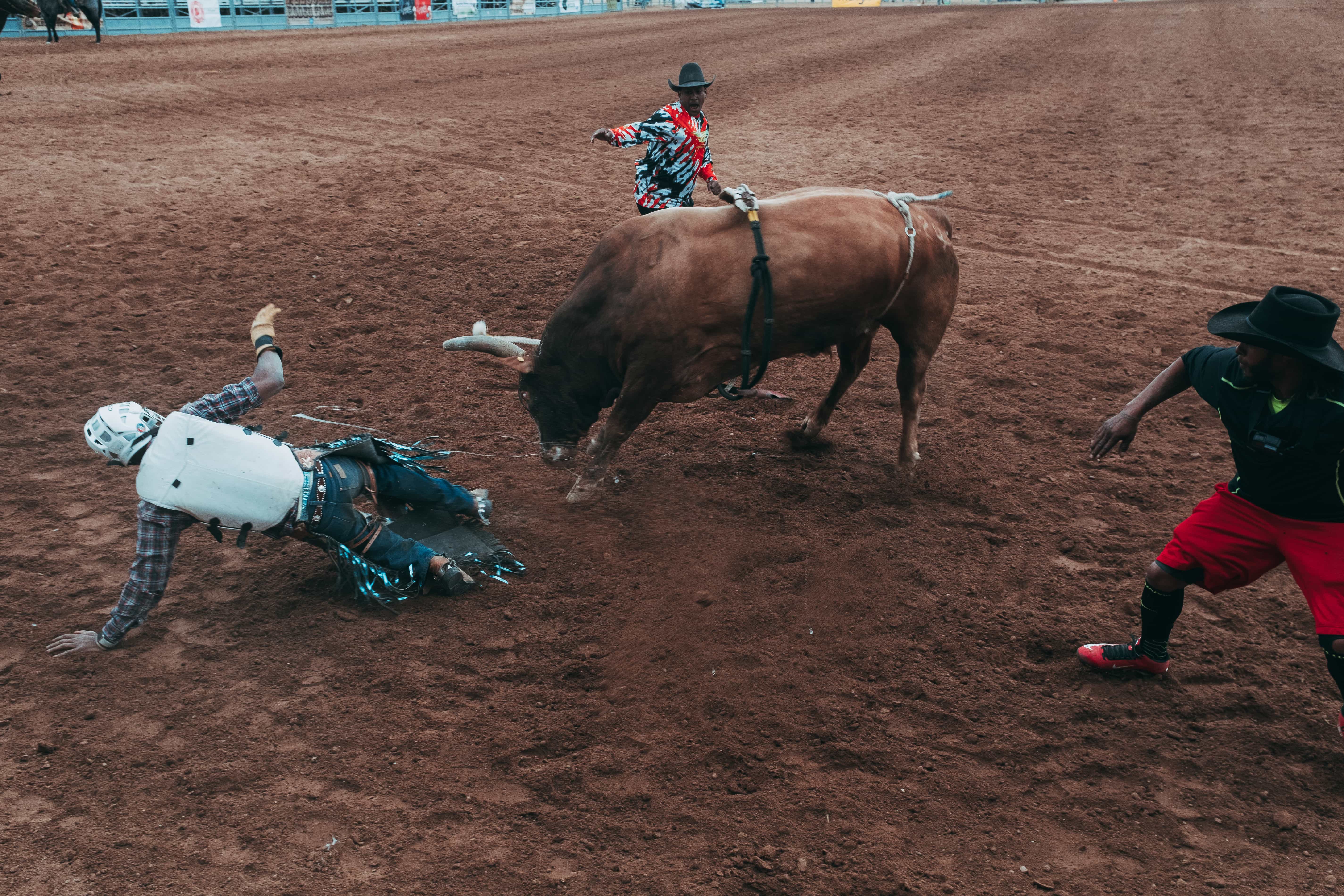 Arizona Black Rodeo Eight Seconds